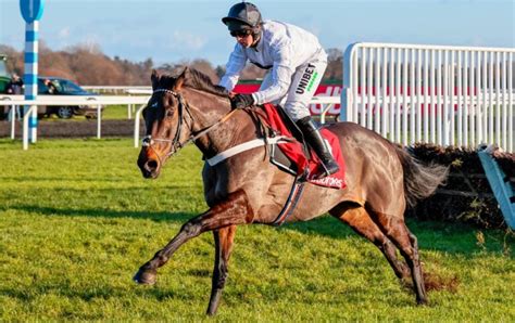 champion hurdle champion hurdle 2018 bet|Champion Hurdle .